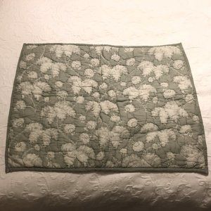 Ballard Designs Pillow Shams- Edith Vine